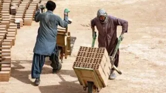 هشدار درباره بازار سیاه کار؛ مهاجران غیرمجاز چه نقشی دارند؟