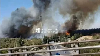 آتش سوزی در نزدیکی کاخ ریاست جمهوری سوریه/ ویدئو