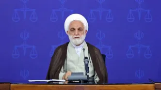 دستور مهم رئیس قوه قضاییه درباره پرونده‌های عناصر متهم به ارتباط با رژیم صهیونیستی