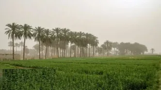 تصاویر؛ ایرانشهر در تسخیر ریزگردها