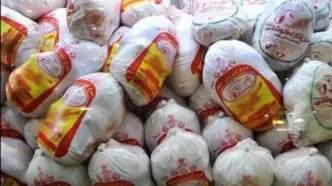 استان گلستان رکورددار بیش‌ترین تعداد و وزن تولید مرغ در کشور