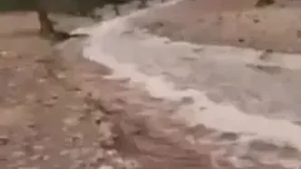 وسط تابستان یزد بارانی شد