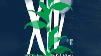 فصل جدید پاتوق فیلم کوتاه در خانه هنرمندان افتتاح می‌شود