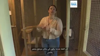ببینید؛ هتل پنج‌ستاره برای گربه‌ها