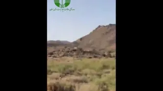 مشاهده 5 قلاده یوزپلنگ در پارک ملی توران