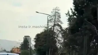 عاقبت لایی‌کشی با بنز در بزرگراه چمران! + ویدیو