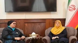 دیدار سخنگوی دولت ایران با وزیر خارجه پیشین بوسنی