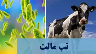 همه چیز درباره «بیماری هزار چهره»