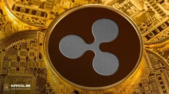 پیش‌بینی جدید قیمت XRP | جهش ۸ برابری یا سقوط؟
