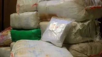 «دیوانه کویر» به هلاکت رسید