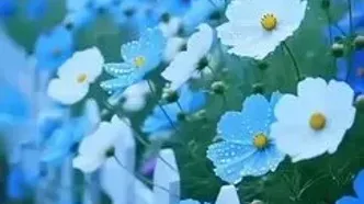 فال حافظ 8 مرداد