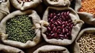 قیمت حبوبات در تهران | قیمت حبوبات درجه یک و دو