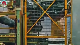 ببینید؛ مراحل تماشایی برداشت و فرآوری هندوانه، توت فرنگی، انگور، کدو تنبل و ... در مزارع وسیع