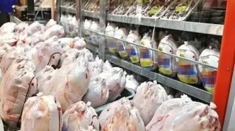 کشف بیش از هشت تن گوشت مرغ قاچاق در لرستان