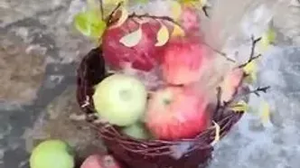 فال و طالع بینی روزانه 10 تیر