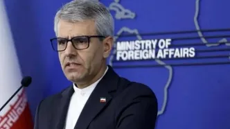 انتقاد بقایی از بی‌عملی اروپا در قبال جنایات اسرائیل