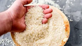 افزایش صادرات برنج پاکستان به ایران