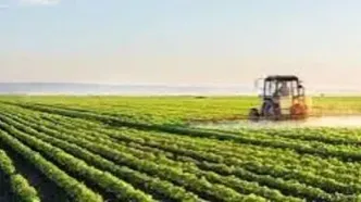 صدور مجوز برای فعالیت‌های کشاورزی باید تسهیل شود