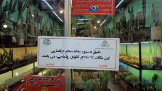 پلمب واحدهای متخلف بازار گل شهید ستاری