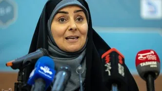 صادق: زیرساخت‌های مرز مهران برای اربعین تقویت شد/ بلیت پروازهای اربعین نرخ‌گذاری شد