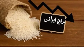 کاهش قیمت برنج ایرانی رسماً اعلام شد