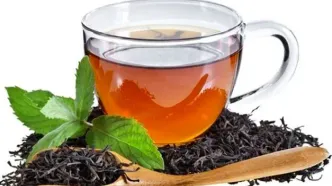 رکورد صادرات چای ایران؛ ۵۶ درصد رشد در ۴ ماه
