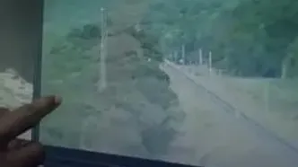 استفاده از هوش مصنوعی برای نجات جان فیل‌ها