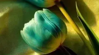 فال ابجد 30 مرداد