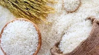 دستیابی به اطلاعات و آمار دقیق با اجرای شناسنامه دار شدن واحد تولیدی