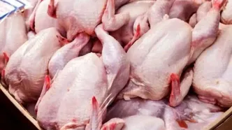 نرخ جدید مرغ امروز 28 مرداد 1404؛ قیمت مرغ تازه و منجمد در بازار