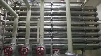 ببینید؛ مراحل صفر تا صد فرآوری و بسته بندی گوجه فرنگی در کارخانه ای در ژاپن