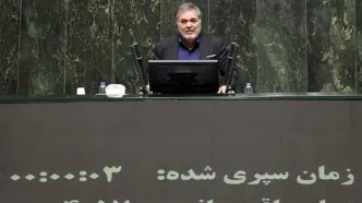 وزیر جهاد کشاورزی در پرداخت مطالبات کشاورزان تسریع کند