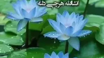 فال ابجد 2 شهریور