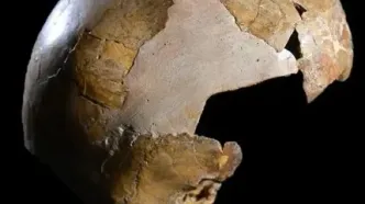 کشف قدیمی‌ترین «انسان ترکیبی» جهان