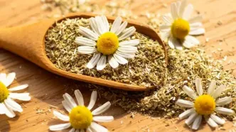آرام‌بخش طبیعی برای تسکین درد و بهبود خواب