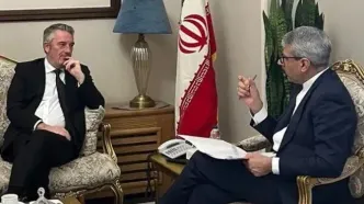 بقائی با سفرای هلند و ژاپن دیدار کرد