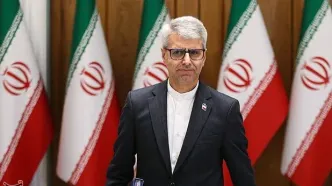 بقائی: ایران آماده مذاکره با اروپاست