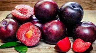 آلوچه قرمز؛ خواص، مضرات، طبع، ارزش غذایی و نکات مصرف