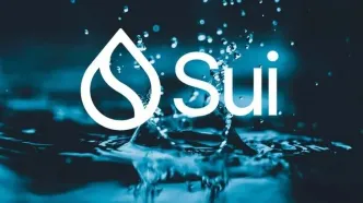 رکوردشکنی بازار دیفای سویی در سه‌ماهه دوم سال؛ چرا قیمت SUI از صعود جا مانده؟