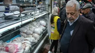 بسته‌بندی مرغ از مرغ گران‌تر شد!