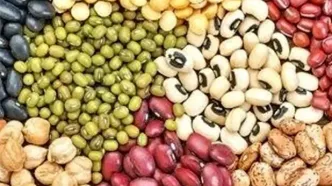 کاهش قیمت حبوبات از اواخر مرداد