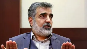 بازرسان آژانس بر تعویض سوخت نیروگاه اتمی بوشهر نظارت می‌کنند/ هر گونه بازرسی آژانس در ایران پس از توافق بر روی چارچوب ترتیبات همکاری‌ها و تایید شعام انجام می‌شود