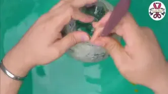 ببینید؛ نحوه درست کردن یک گلدان زیبا با استفاده از بطری نوشابه