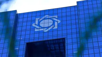 ابلاغ دستورالعمل اجرایی برای حمایت از واحد‌های آسیب دیده از سوی بانک مرکزی