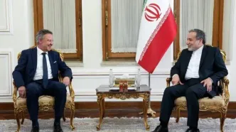 دیدار خداحافظی سفیر آلمان با عراقچی