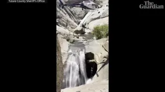 ببینید؛ نجات معجزه‌آسا یک مرد پس از گرفتار شدن پشت آبشار