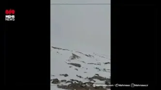 برف تابستانی در قله دماوند
