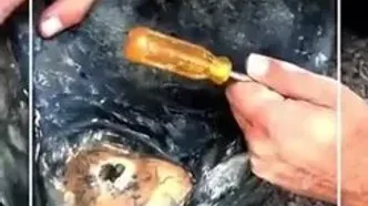 کشف ۱۰ کیلوگرم هروئین از باک خودرو در گمرک