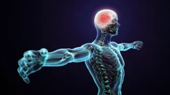 قیمت مواد تشکیل دهنده بدن انسان چقدر است؟ / خیلی ارزان، خیلی گران