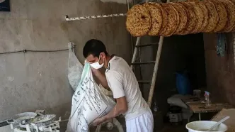 آغاز طرح ضربتی علیه نانوایان متخلف